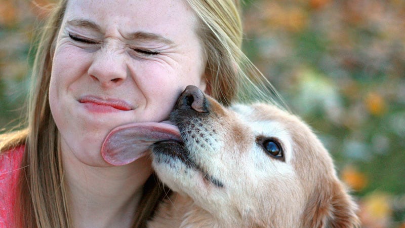 You are currently viewing Emotional Support Animals Help Lick Depression, Anxiety – Medscape